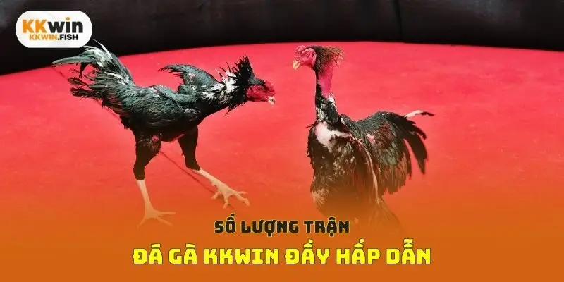 cac-tran-da-ga-kkwin