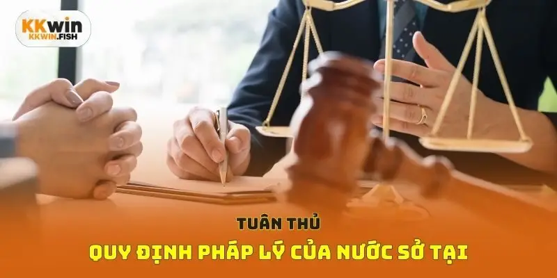 Hoạt Động Tuân Thủ Pháp Lý